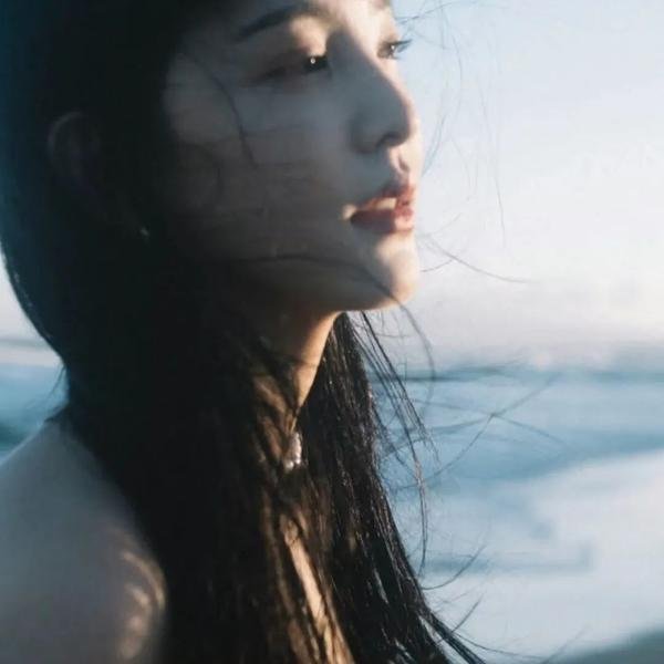 希望的翅膀 海报